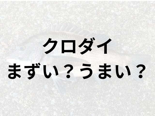 クロダイアイキャッチ画像