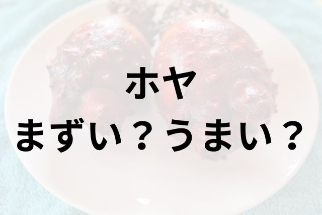 ホヤアイキャッチ画像