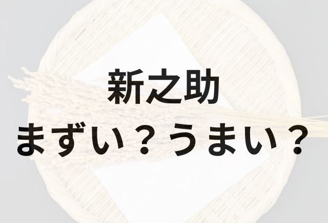 新之助アイキャッチ画像