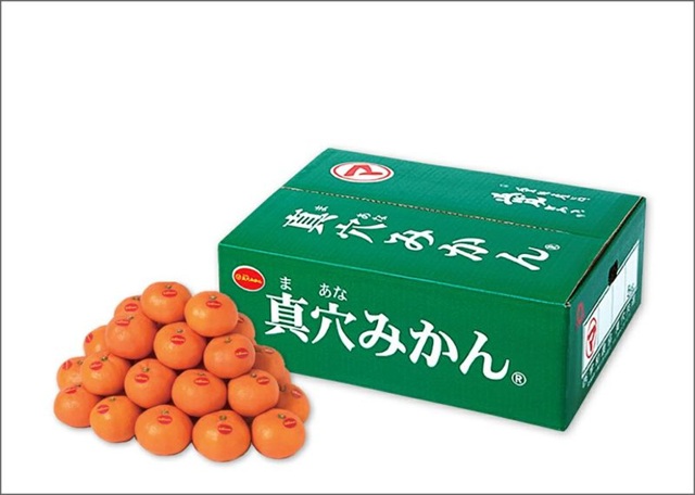 真穴みかん画像引用
