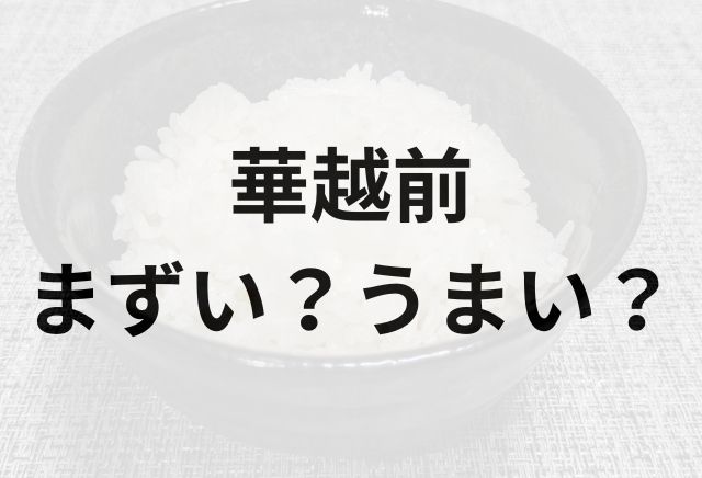 華越前アイキャッチ画像