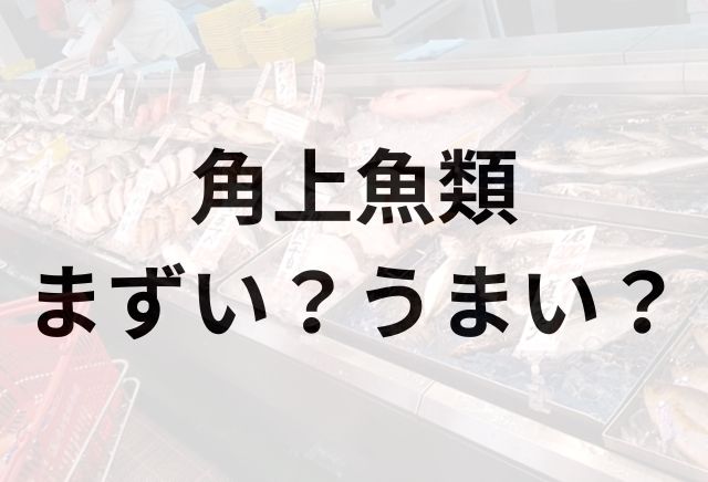 角上魚類アイキャッチ画像