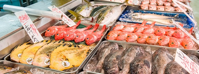 角上魚類画像引用
